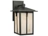 Tomek 1-Light Outdoor Wall Light