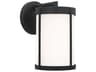 Luning 1-Light Outdoor Wall Light