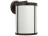 Luning 1-Light Outdoor Wall Light