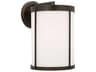 Luning 1-Light Outdoor Wall Light