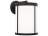 Luning 1-Light Outdoor Wall Light