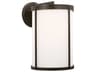 Luning 1-Light Outdoor Wall Light