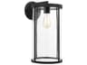 Luning 1-Light Outdoor Wall Light