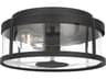 Luning 2-Light Outdoor Ceiling Light