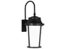 Portola 1-Light Outdoor Wall Light