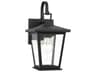 Linton 1-Light Outdoor Wall Light
