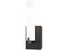 2-Light Coal Black Glass Wall Sconce