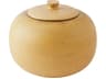 Opolo Jar Camel Decorative Accent