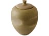 Opolo Jar Moss Decorative Accent