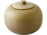 Opolo Jar Moss Decorative Accent