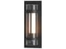 Torch XL Outdoor Wall Sconce Contemporary