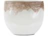 Iceberg Gold Midas Glass Decorative Bowl