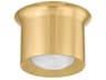 Noxon 1-Light Aged Brass Cylinder Flush Mount