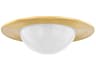 Geraldton 1-Light Aged Brass Flush Mount