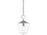 Greene 1-Light Polished Nickel Lantern Mini Pendant