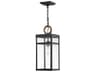 Porter 1 - Light Outdoor Hanging Light