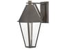 Endsley 1-Light Outdoor Wall Light