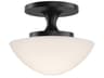 Knox 1-Light Black Semi Flush Mount