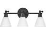 Arti 3-Light Black Glass Vanity Light