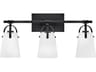 Foster 3-Light Black Vanity Light