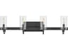 Ryden 4-Light Black Glass LED Vanity Light