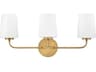Kline 3-Light Heritage Brass Glass Vanity Light