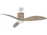 Merrick 60" LED Ceiling Fan