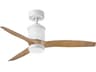 Hover 52 Inch Ceiling Fan with Light Smart Modern