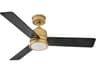 Chet 48" Outdoor Ceiling Fan