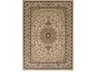 Rg05 Oriental Area Rug
