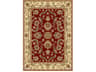 Rg20-s Oriental Area Rug