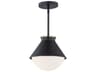 Fusion Ravelle 1-Light Outdoor Hanging Light