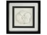 Black / White Porcelain Flower-II Shadow Box