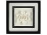 Black / White Porcelain Flower-IV Shadow Box
