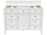 Furniture Brittany 48-Inch Single Vanity Cabinet