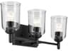 Shailene 3-Light Black Vanity Light