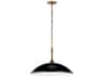Delarosa 1-Light Black Pendant