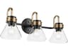 Farum 3-Light Black Vanity Light