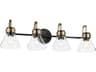 Farum 4-Light Black Vanity Light
