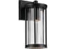 Barras 1-Light Outdoor Wall Light