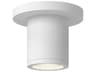 Nordic Outdoor Ceiling Light