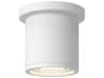 Nordic Outdoor Ceiling Light
