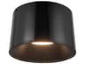 Etta Jet Black Drum Flush Mount
