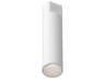 Lorna White Cylinder Flush Mount
