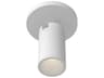 Lorna White Cylinder Flush Mount