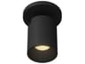 Lorna Black Cylinder Flush Mount