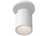Lorna White Cylinder Flush Mount