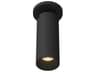 Lorna Black Cylinder Flush Mount