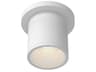 Lorna White Cylinder Flush Mount