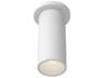 Lorna White Cylinder Flush Mount